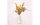 Chic Mic Trockenblumen Dried sunflower inklusive Vase