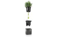 Lechuza Blumentopf Green Wall Home Kit Weiss glanz