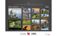 Calendaria Kalender Swiss Animals 2024