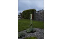 Star Trading Gartenlicht Solardekoration Bubbly, Mehrfarbig, 3er Set