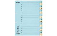 Biella Register A4 1 - 31 Karton