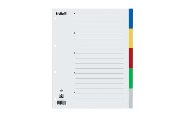 Biella Register A4 5-teilig für Zeigetaschen, Mehrfarbig