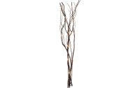 Star Trading Zweig Willow Dewdrop, 24 LEDs, 60 cm, Braun