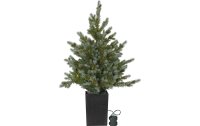 Star Trading Weihnachtsbaum LED Greyland M, 80 LEDs, 95...
