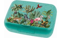 Koziol Lunchbox Candy L Jungle Blau