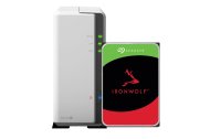 Synology NAS DiskStation DS120j 1-bay Seagate IronWolf 3 TB