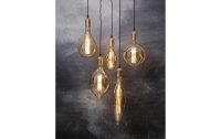 Star Trading Lampe Industrial Vintage Amber 10 W (50...