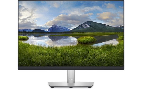 DELL Monitor P2423