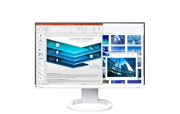 EIZO Monitor EV2480-Swiss Edition Weiss