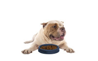 Getz Petz Gumminapf Pet Bowl Charcoal, ø15 cm