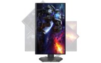 DELL Monitor G2524H