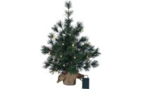 Star Trading Baum Furu 60 cm mit 20 LED Lampen