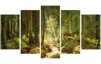 Schipper Malen nach Zahlen Unser Wald