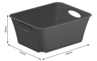 Rotho Aufbewahrungsbox Living Box C7 / 0.5 l Anthrazit