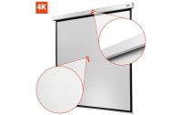 Celexon Rollo-Leinwand Professional Plus 220x220 cm 1:1