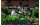 Herstera Hochbeet 100 x 40 x 84 cm Urban Garden Anthrazit