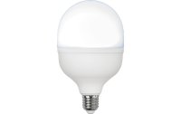 Star Trading Lampe LED High Lumen, 30 W, E27,...