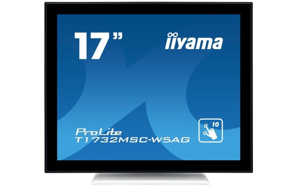 iiyama Monitor ProLite T1732MSC-W5AG