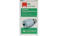 Max Hauri Schmelzsicherung Schraubautomat 6A, 250/380 V