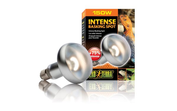 Exo Terra Terrarienlampe Intense Basking Spot E27, R30/150W