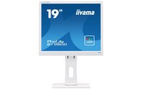 iiyama Monitor ProLite B1980D-W1