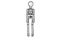 Rico Design Aufhänger 50 cm Skelett