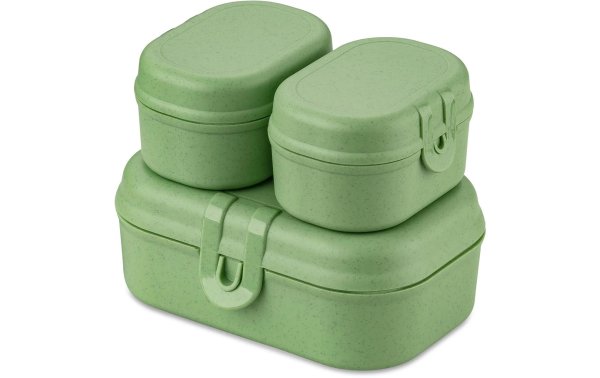 Koziol Lunchbox Pascal Ready Mini Grün