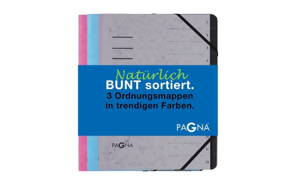 Pagna Ordnungsmappe Basic Set Blau/Rosa/Grau