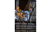 Star Trading LED-Lichterkette Flower Curtain, 4 m, 200 LEDs, Outdoor