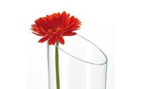 Leonardo Vase Dynamic 40 cm Transparent