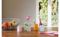 Remember Vasen-Set Mini, in Pastelltönen, 5 Stück