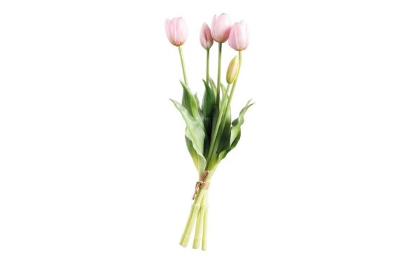 Dekomat AG Kunstblume Tulpen 5er Set, 40 cm