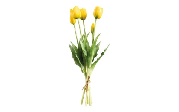 Dekomat AG Kunstblume Tulpen 5er Set, 40 cm