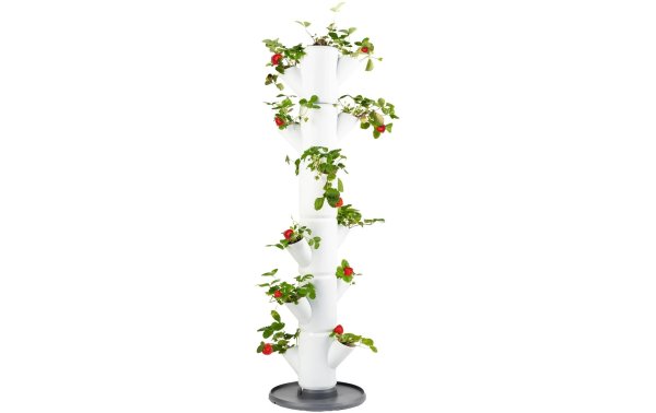 Gusta Garden Aufzuchttöpfe SISSI STRAWBERRY Classic, Weiss