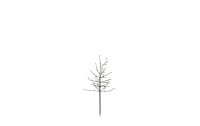 Sirius Baum Noah, 110 cm, 80 LEDs, Outdoor