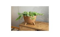 Neogard AG Blumentopf Roma Eco, Ø 33 cm, Wood