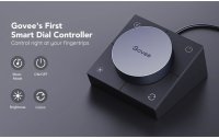 Govee Gaming Lichtbalken mit Smart Controller, RGBIC, Wi-Fi + BT