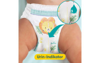 Pampers Windeln Premium Protection Pants Junior Grösse 5