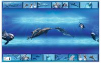 HERMA Schreibunterlage Delphin 55 x 35 cm