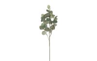 Botanic-Haus Kunstpflanze Eukalyptuszweig 87 cm