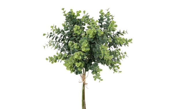 Botanic-Haus Kunstpflanze Eukalyptusbund 3er Set, 40 cm