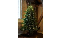 Sirius Weihnachtsbaum Anni, 1.8 m, 234 LEDs, Grün