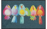 Salonlöwe Fussmatte Rainbow Birds 50 cm x 75 cm