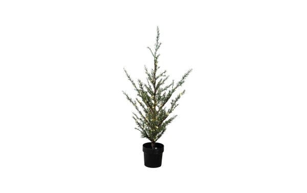 Sirius Weihnachtsbaum Milas, 150 cm, 150 LEDs, Grün