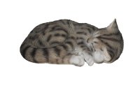 Vivid Arts Dekofigur Schlafende Katze