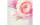 Sigel Motivpapier Rose Garden A4, 50 Blatt