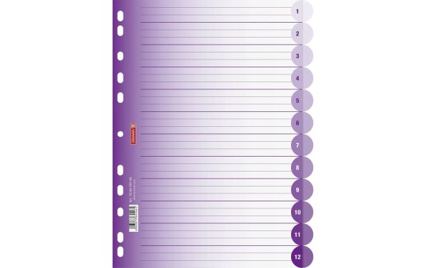 Brunnen Register A4 Colour Code Purple 1-12