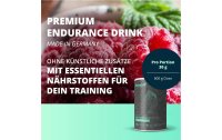 Brandl-Nutrition Getränk Intrapost Endurance Beere 600 g