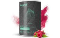 Brandl-Nutrition Getränk Intrapost Endurance Beere 600 g