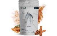 Brandl-Nutrition Pulver Post Workout Vegan Zimt 1000 g